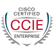 CCIE logo